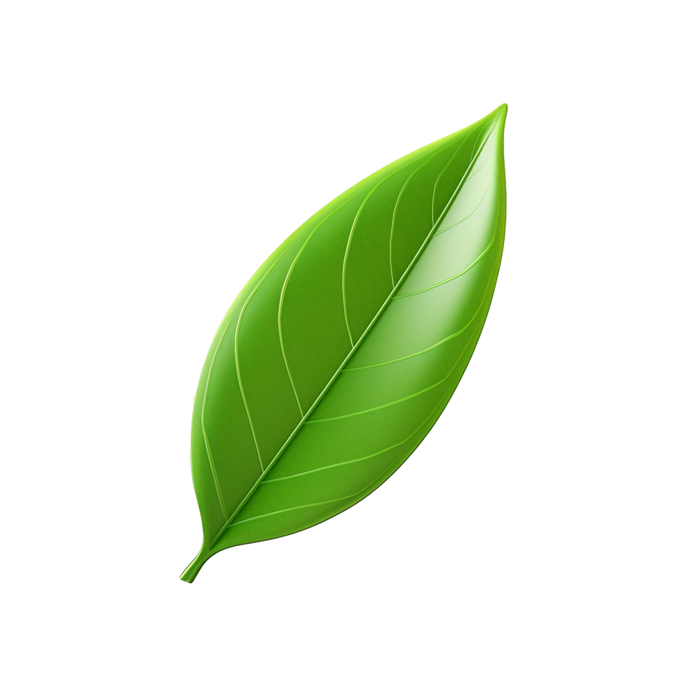 Leaf 2