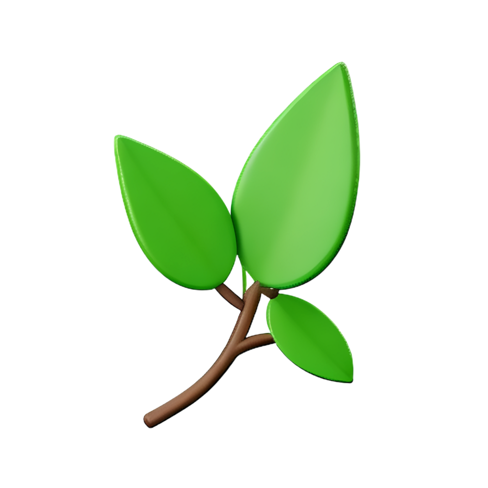Leaf 3
